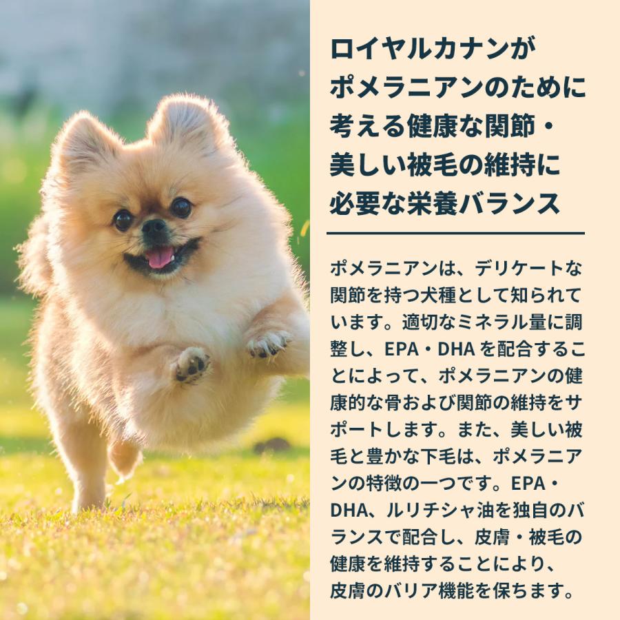 ロイヤルカナン（ROYAL CANIN） 犬 ドッグフード ポメラニアン成犬 