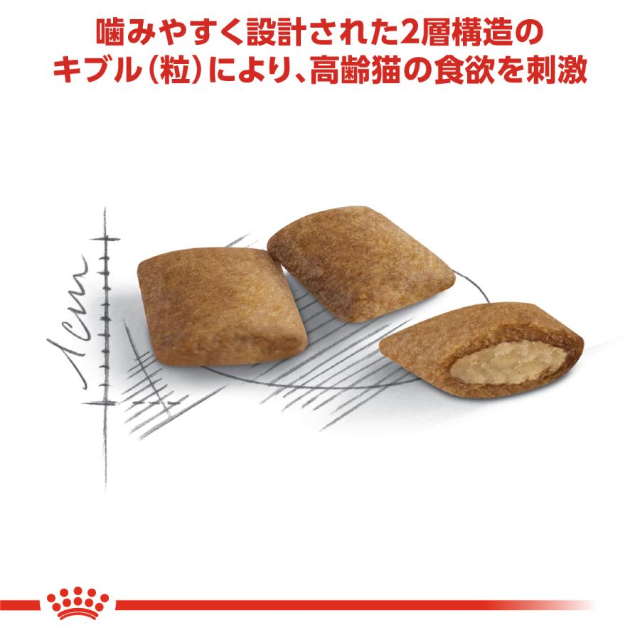 ロイヤルカナン（ROYAL CANIN） 猫 キャットフード エイジング 12＋