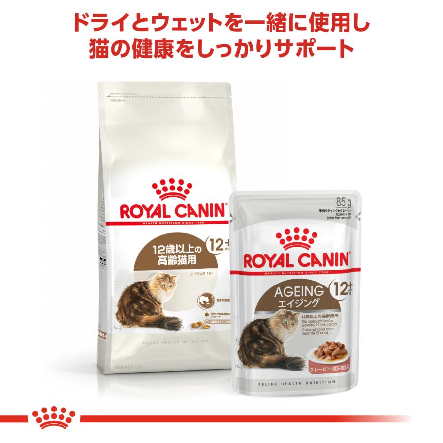✨ロイヤルカナン エイジング12  2kg×2個✨ ロイヤルカナン（ROYAL CANIN） 猫 キャットフード エイジング 12＋