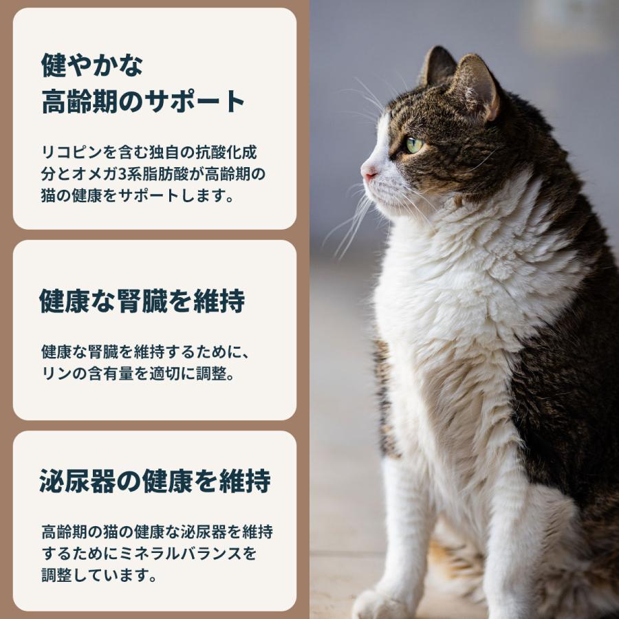 ロイヤルカナン（ROYAL CANIN） 猫 キャットフード エイジング 12＋