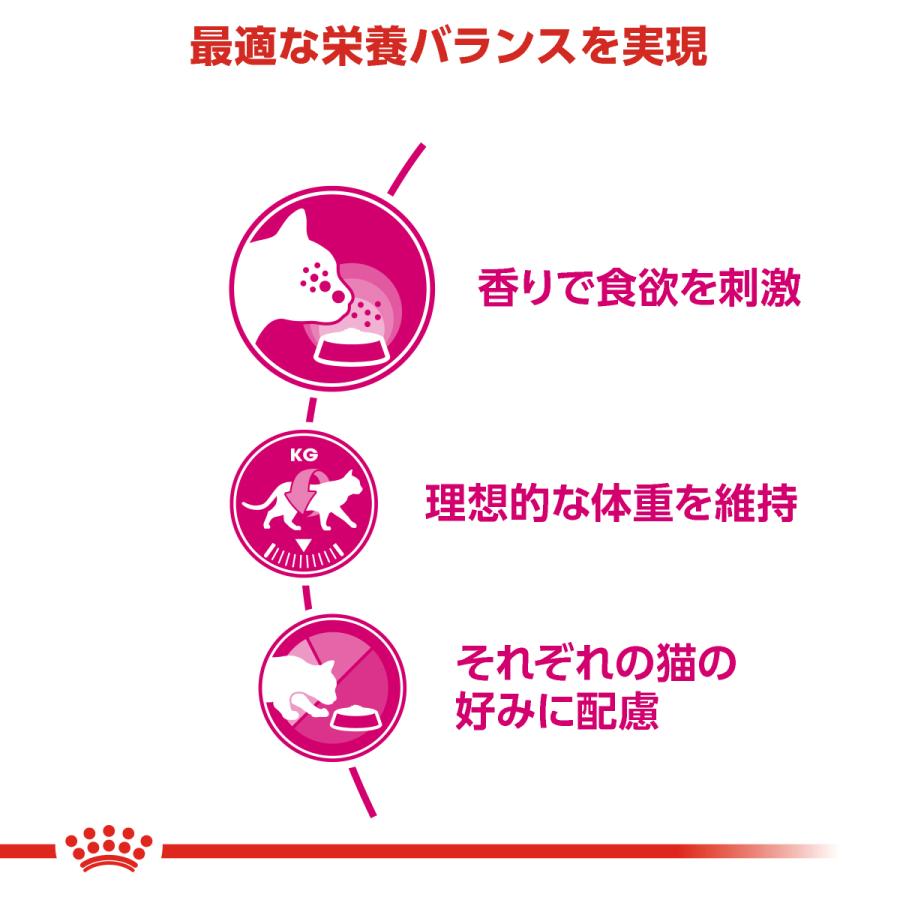 ロイヤルカナン 猫 キャットフード アロマエクシジェント 2kg×6個 香りにこだわる猫専用フード 成猫用_2