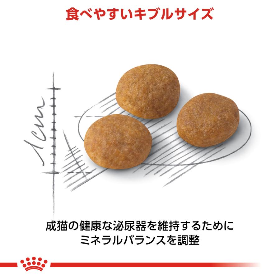 ロイヤルカナン（ROYAL CANIN） 猫 キャットフード アロマエクシ