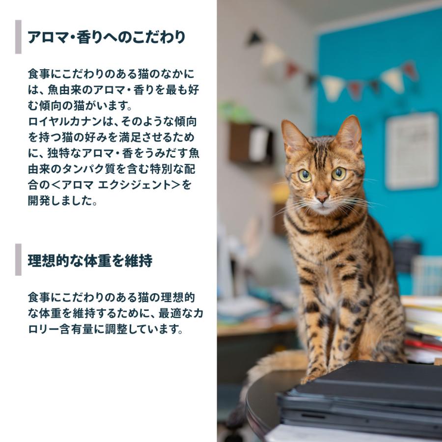ロイヤルカナン（ROYAL CANIN） 猫 キャットフード アロマエクシ