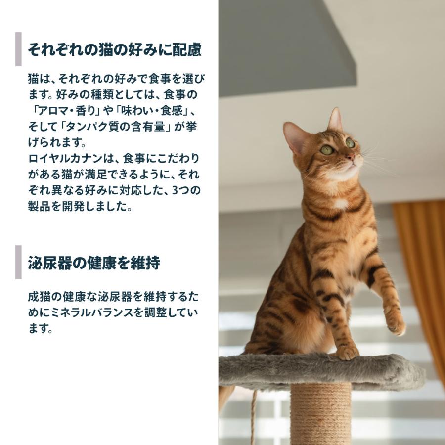 ロイヤルカナン（ROYAL CANIN） 猫 キャットフード アロマエクシ