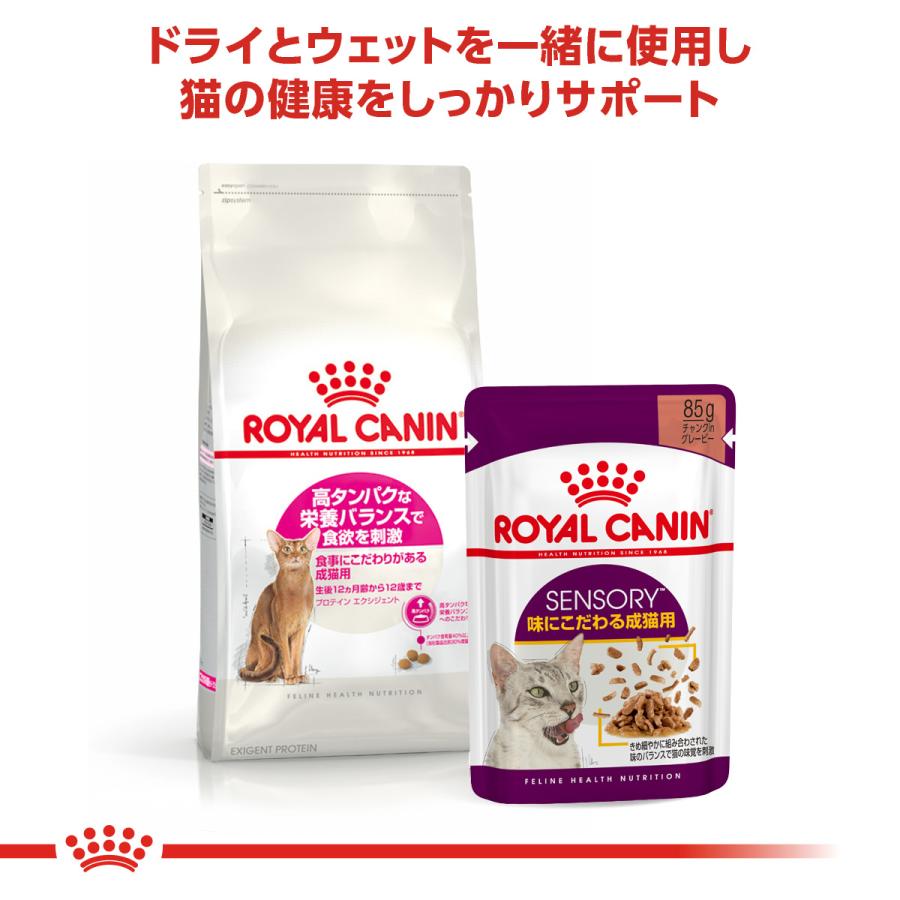 ロイヤルカナン（ROYAL CANIN） 猫 キャットフード プロテインエクシ
