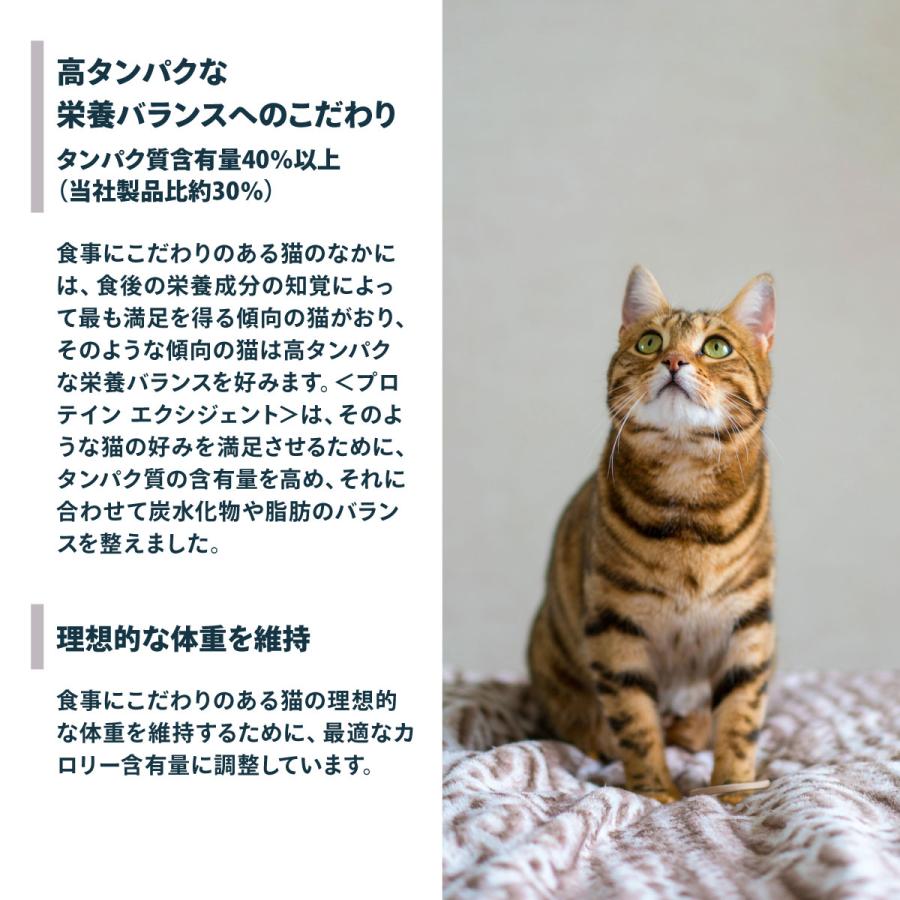ロイヤルカナン（ROYAL CANIN） 猫 キャットフード プロテインエクシ