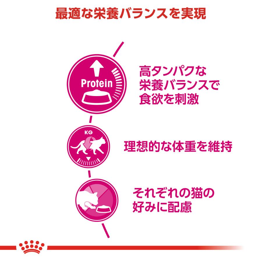ロイヤルカナン 猫 キャットフード プロテインエクシジェント 2kg×6個