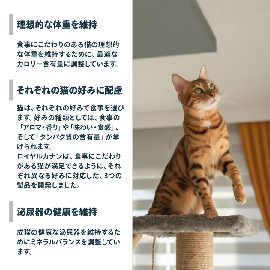 ロイヤルカナン（ROYAL CANIN） 猫 キャットフード セイバーエクシ