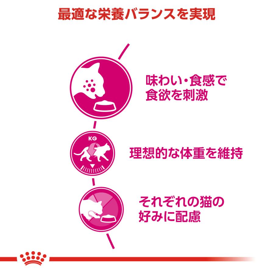 猫用品 ロイヤルカナン味わい食欲を刺激10kg