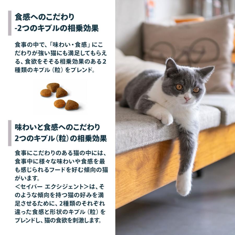 ロイヤルカナン（ROYAL CANIN） 猫 キャットフード セイバーエクシ