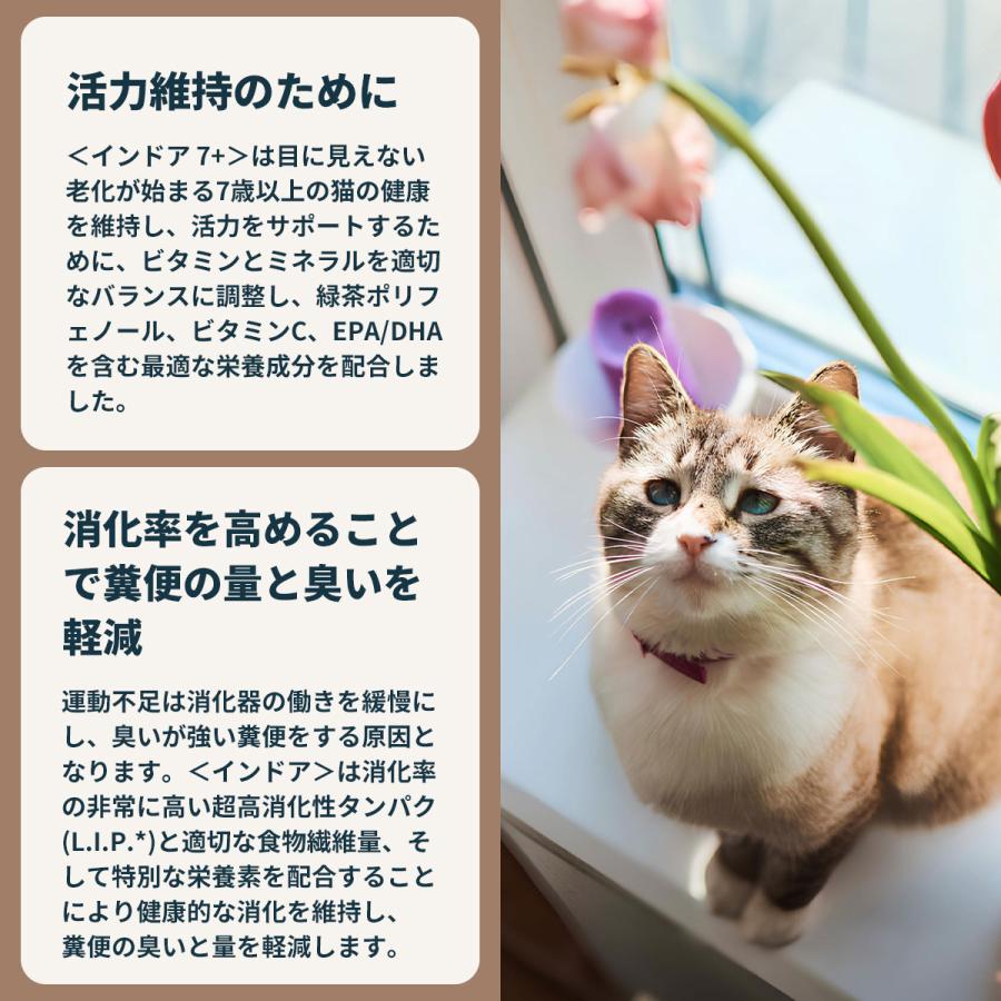 ロイヤルカナン（ROYAL CANIN） 猫 キャットフード インドア 7＋ 3.5kg