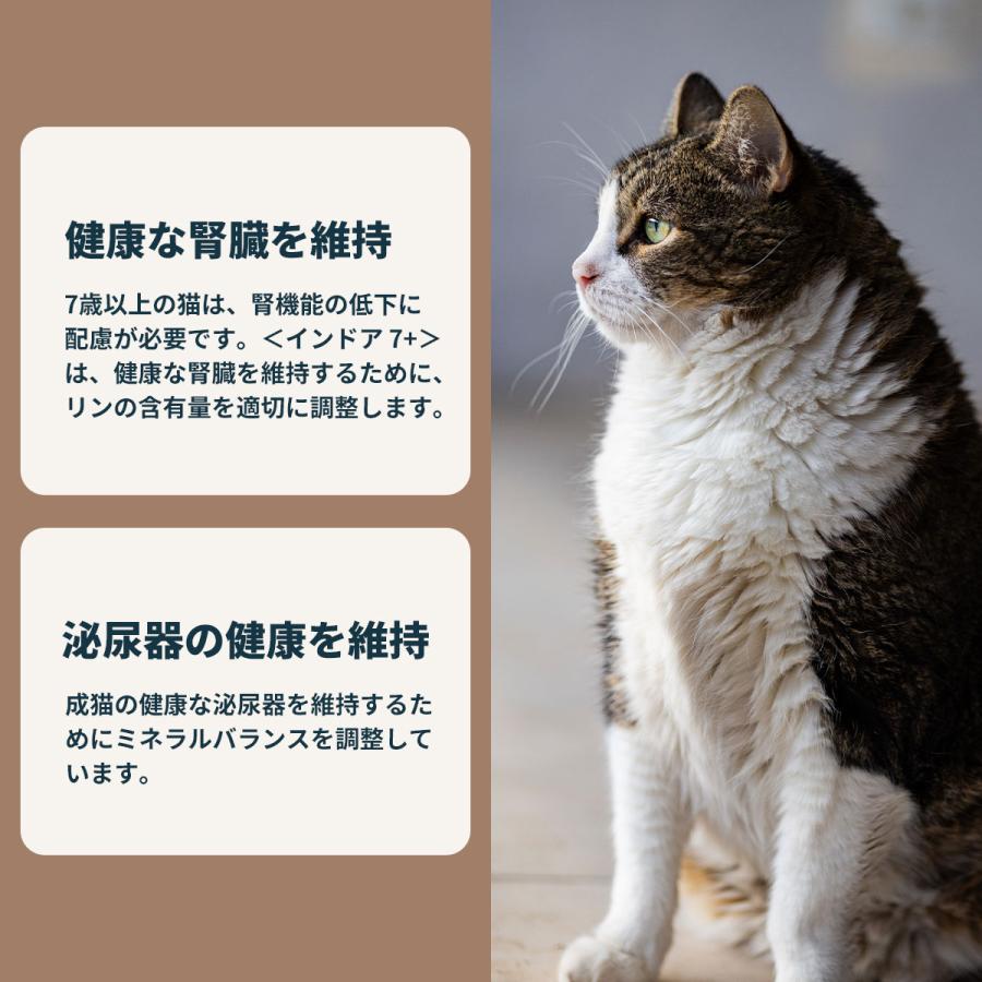 猫7猫さん専用 ロイヤルカナン（ROYAL CANIN） 猫 キャットフード インドア 7＋ 3.5kg