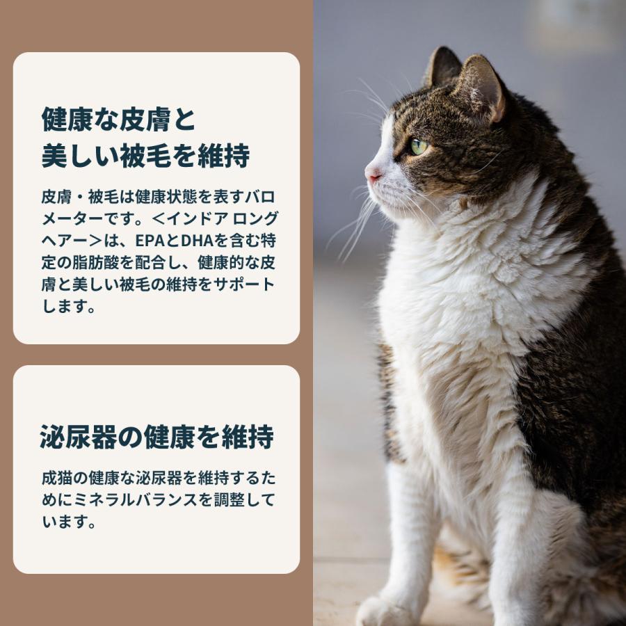 ロイヤルカナン（ROYAL CANIN） 猫 キャットフード インドア ロング
