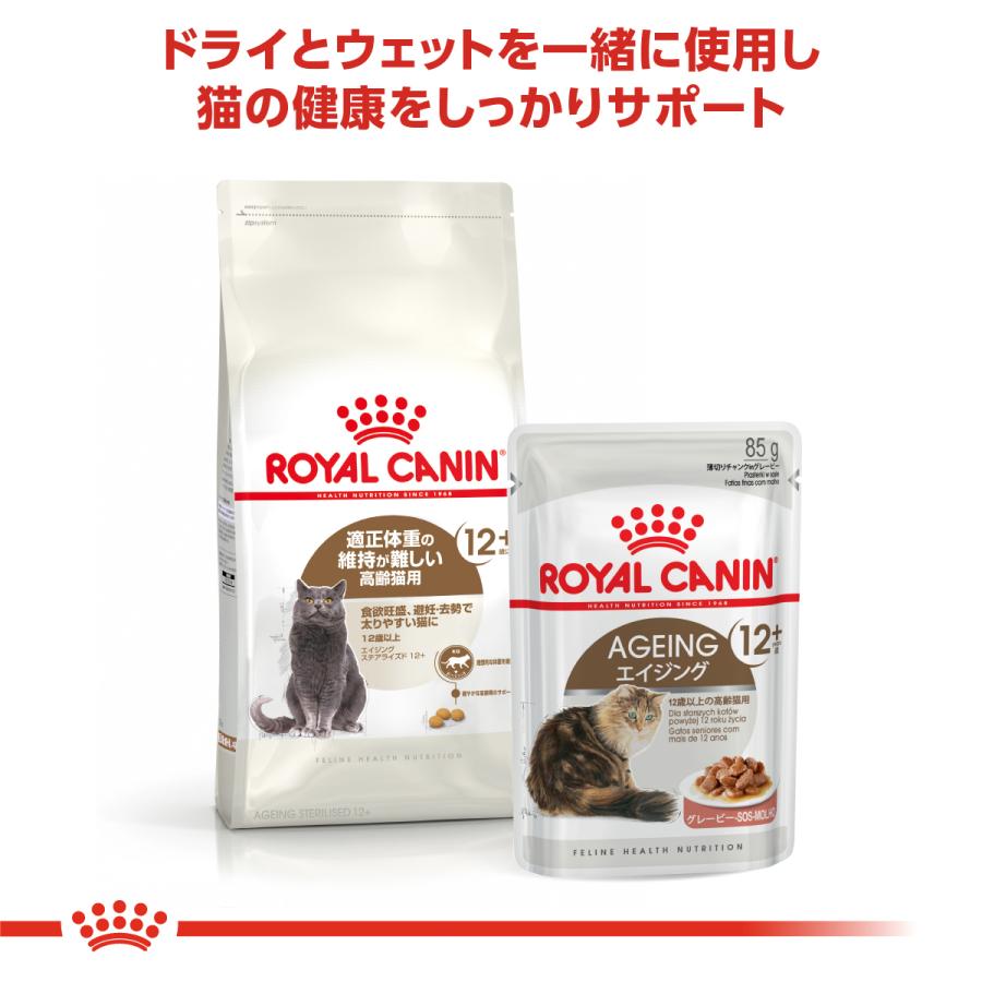 ロイヤルカナン（ROYAL CANIN） 猫 キャットフード エイジング
