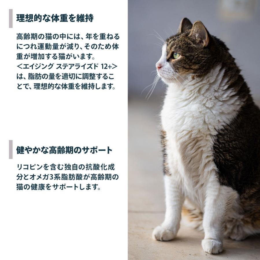 ロイヤルカナン（ROYAL CANIN） 猫 キャットフード エイジング