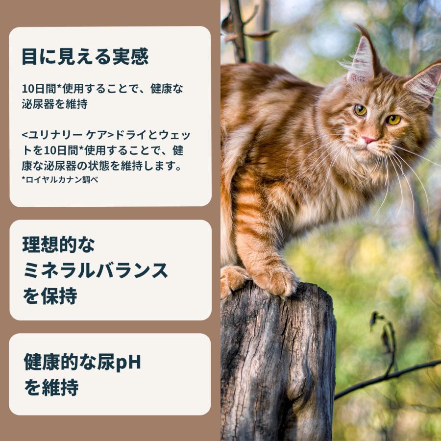 ロイヤルカナン（ROYAL CANIN） 猫 キャットフード ユリナリーケア 2kg
