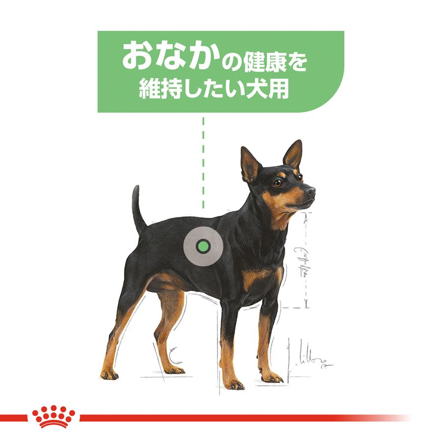 ロイヤルカナン（ROYAL CANIN） 犬 ドッグフード ミニ