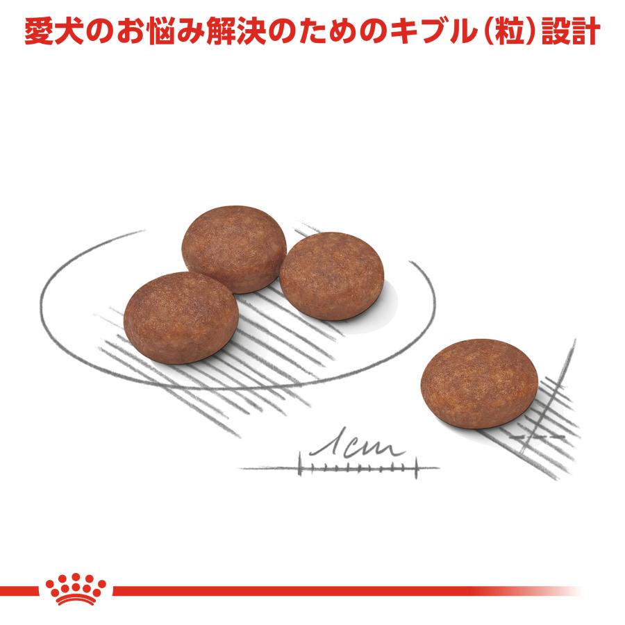 ロイヤルカナン（ROYAL CANIN） 犬 ドッグフード ミニ