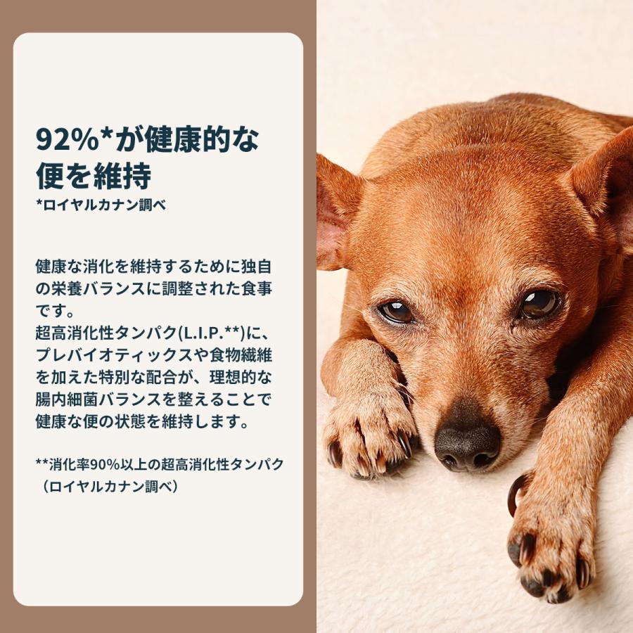 ロイヤルカナン（ROYAL CANIN） 犬 ドッグフード ミニ