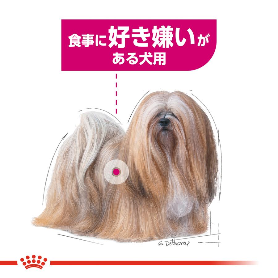 ロイヤルカナン（ROYAL CANIN） 犬 ドッグフード ミニ エクシジェント