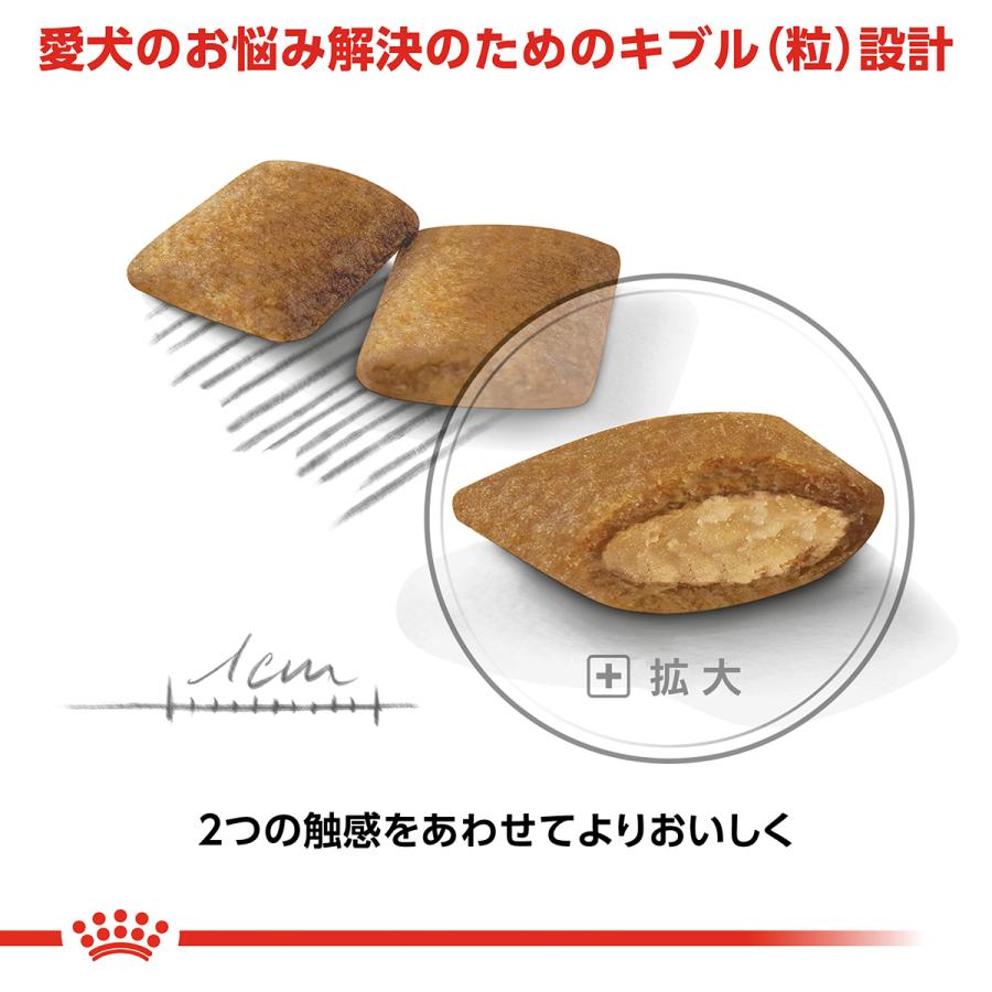 【新品未開封】ロイヤルカナン　好き嫌い　２kg×３個 ロイヤルカナン（ROYAL CANIN） 犬 ドッグフード ミニ エクシジェント