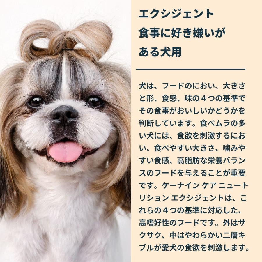 ロイヤルカナン（ROYAL CANIN） 犬 ドッグフード ミニ エクシジェント
