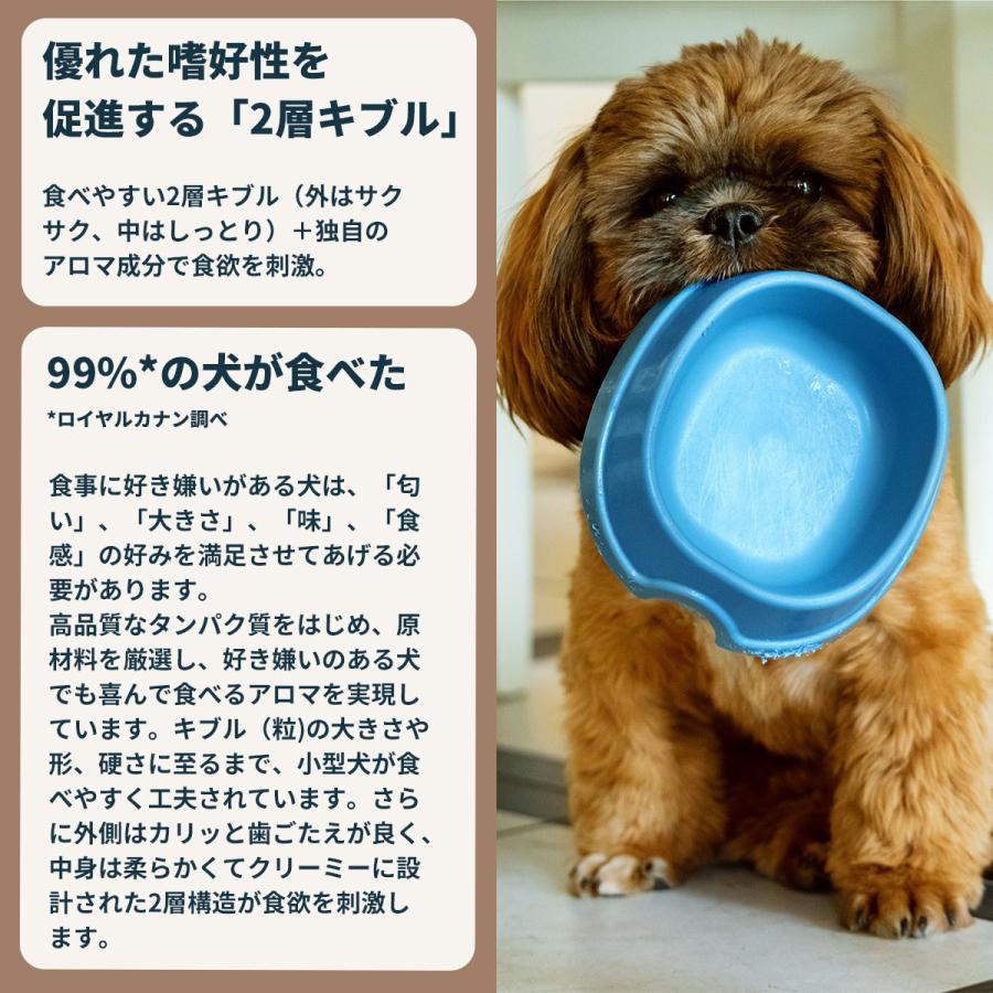 ロイヤルカナン（ROYAL CANIN） 犬 ドッグフード ミニ エクシジェント