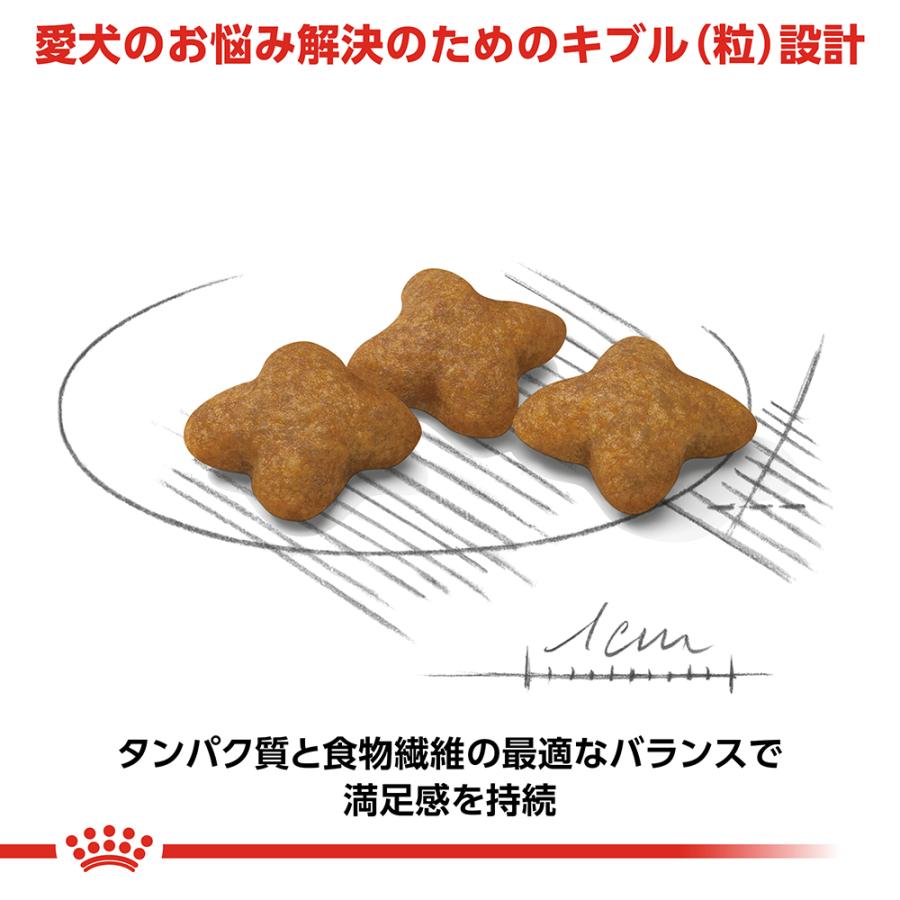 ロイヤルカナン（ROYAL CANIN） 犬 ドッグフード エクストラ スモール