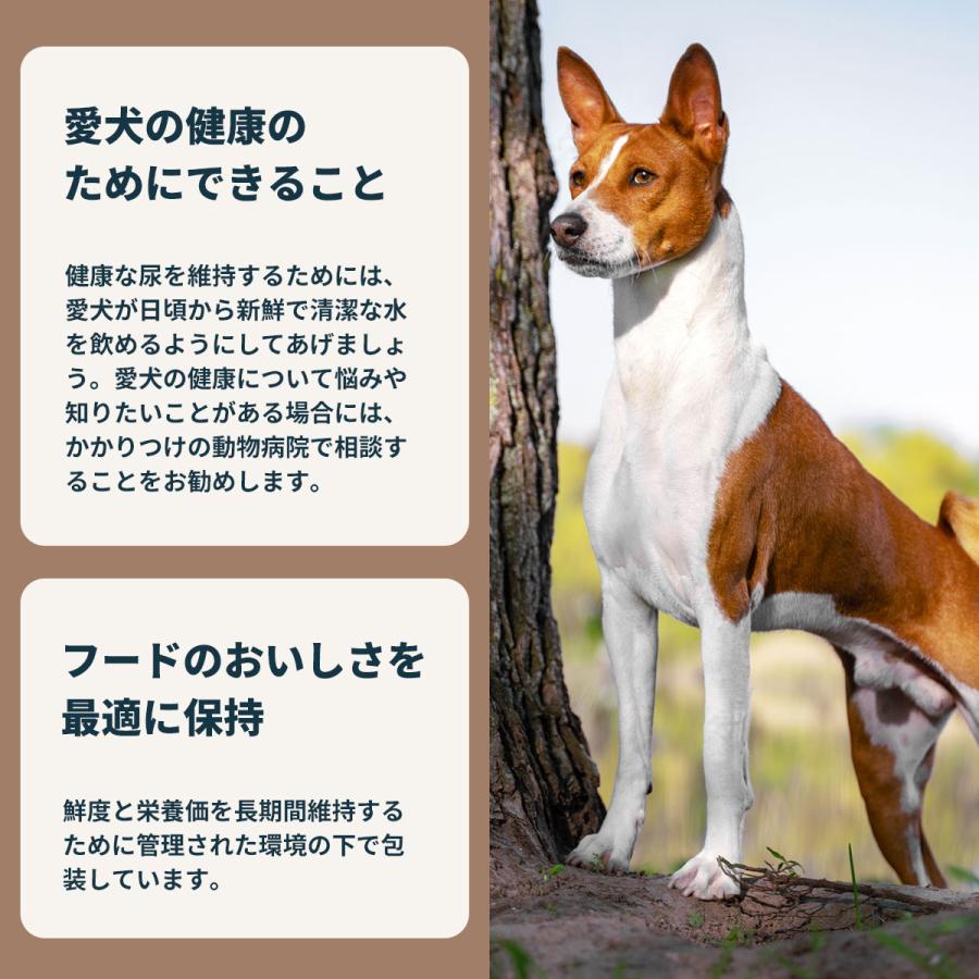 ロイヤルカナン（ROYAL CANIN） 犬 ドッグフード ミニ ユリナリーケア