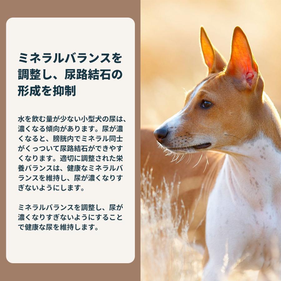 ロイヤルカナン（ROYAL CANIN） 犬 ドッグフード ミニ ユリナリーケア
