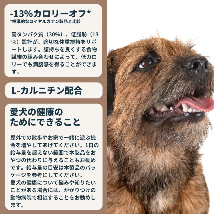 ロイヤルカナン 犬 ドッグフード ミニ ステアライズド 4kg 避妊 去勢犬用 小型犬専用 成犬〜高齢犬用 | ロイヤルカナン | 06