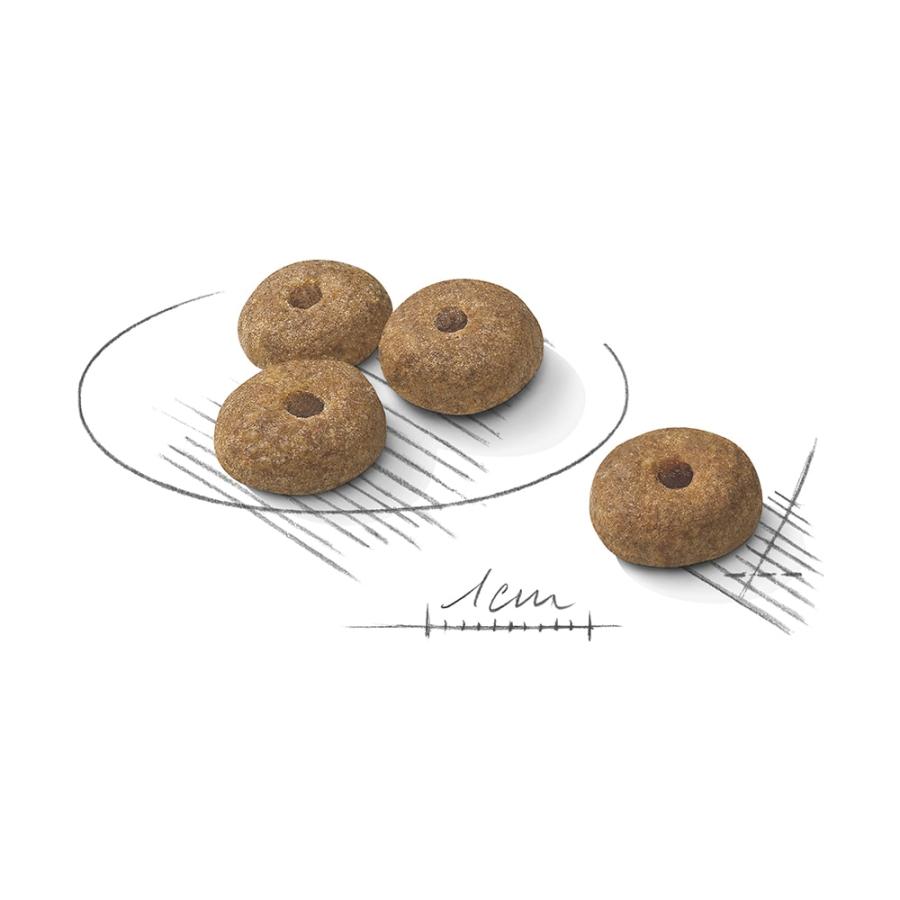 ロイヤルカナン ミニ ステアライズド（避妊・去勢犬用）【８キロ】 ロイヤルカナン ミニ ステアライズド 8kg / 小型犬 避妊・去勢犬