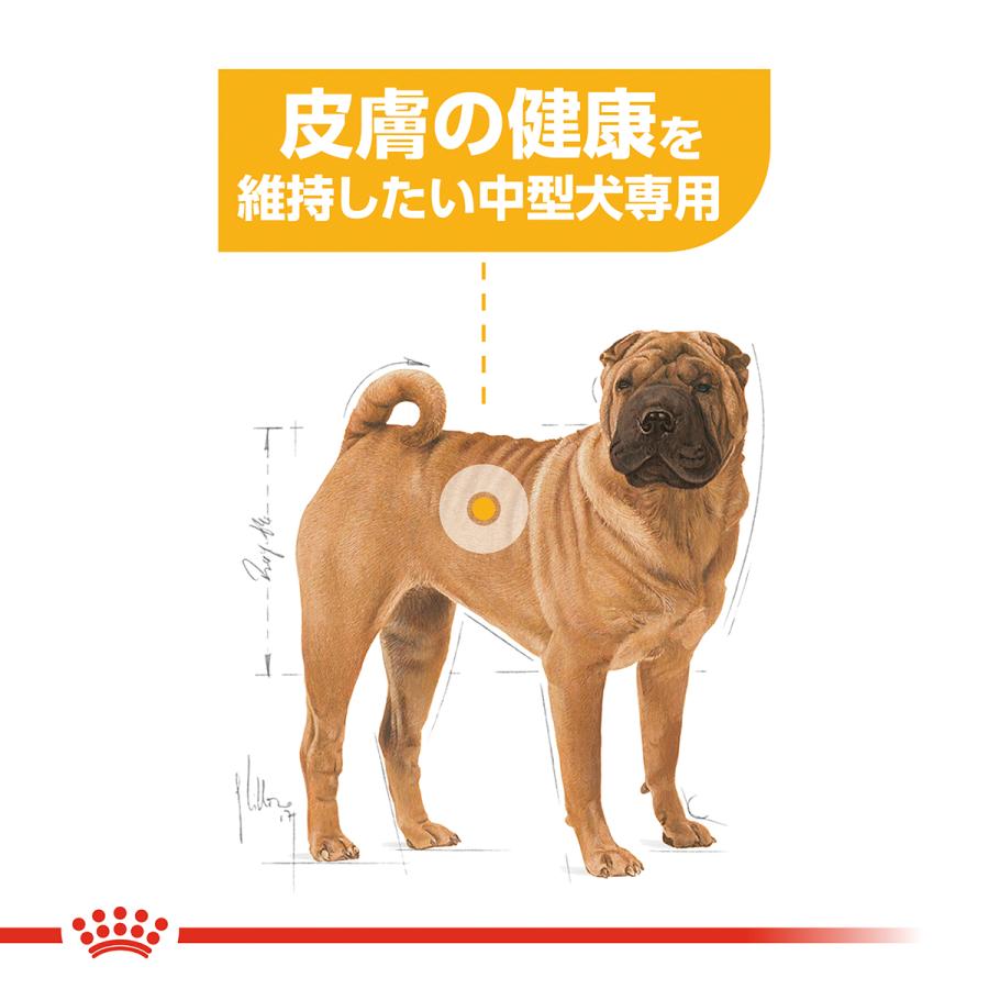 ロイヤルカナン（ROYAL CANIN） 犬 ドッグフード ミディアムダーマ