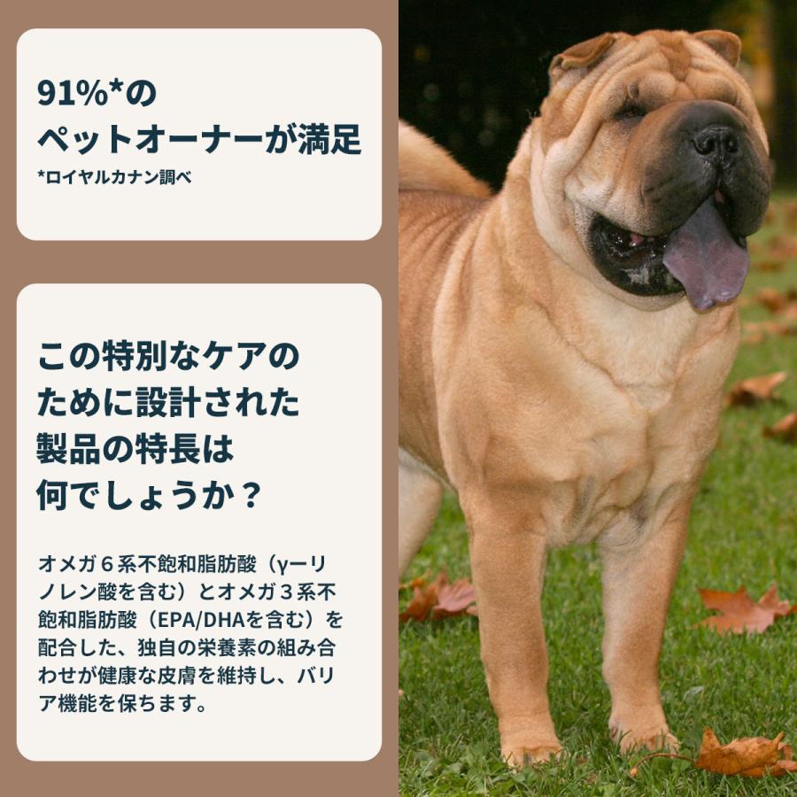 ロイヤルカナン（ROYAL CANIN） 犬 ドッグフード ミディアムダーマ