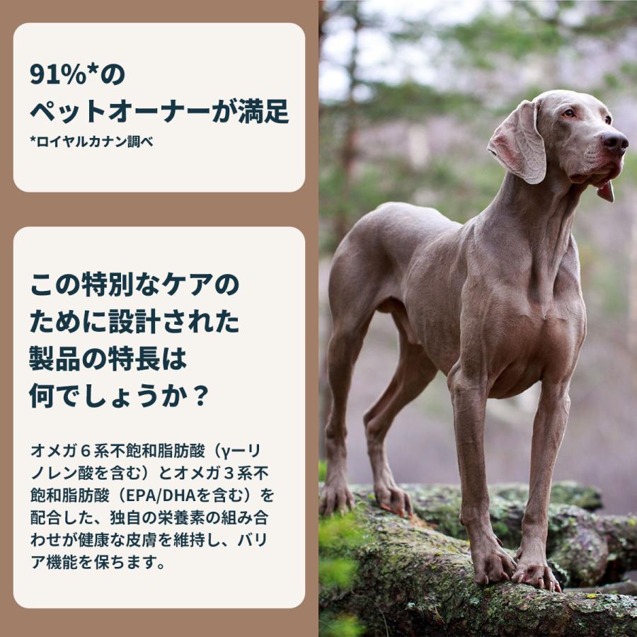 ロイヤルカナン（ROYAL CANIN） 犬 ドッグフード マキシダーマ