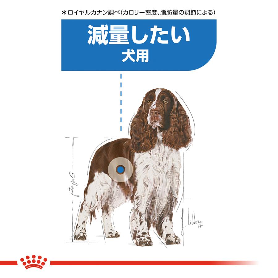 ロイヤルカナン（ROYAL CANIN） 犬 ドッグフード ミディアムライト
