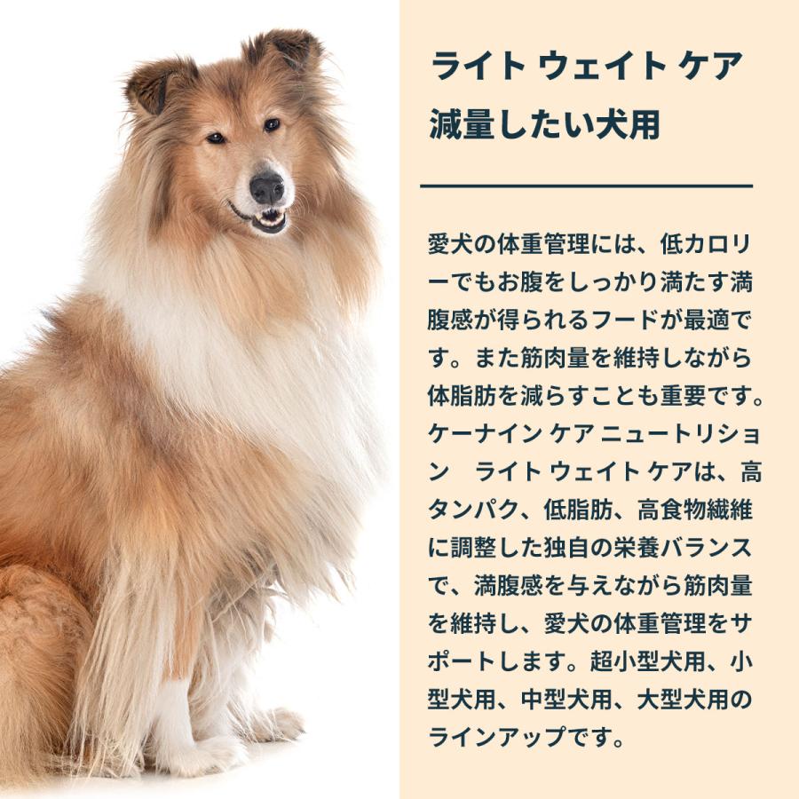 ロイヤルカナン グレートデン 成犬用 12kg×2 計24kg ケーナイン ケア ニュートリション ロイヤルカナン CCN マキシ ライト