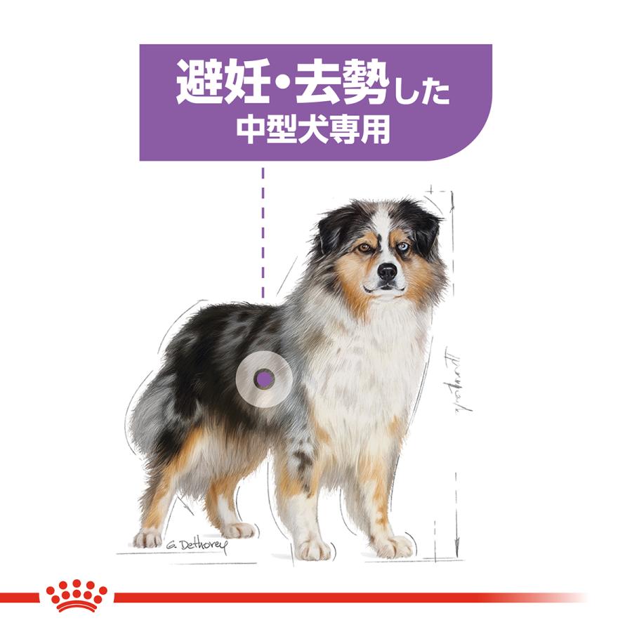 ロイヤルカナン（ROYAL CANIN） 犬 ドッグフード ミディアムステア 