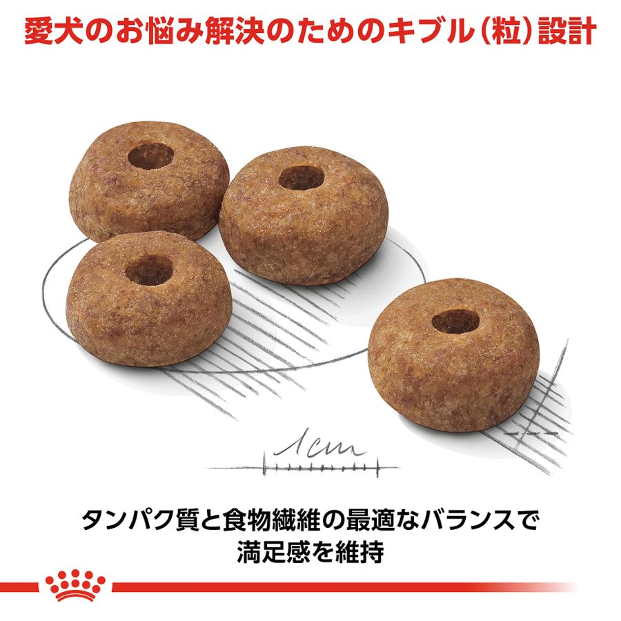 ロイヤルカナン（ROYAL CANIN） 犬 ドッグフード ミディアムステア