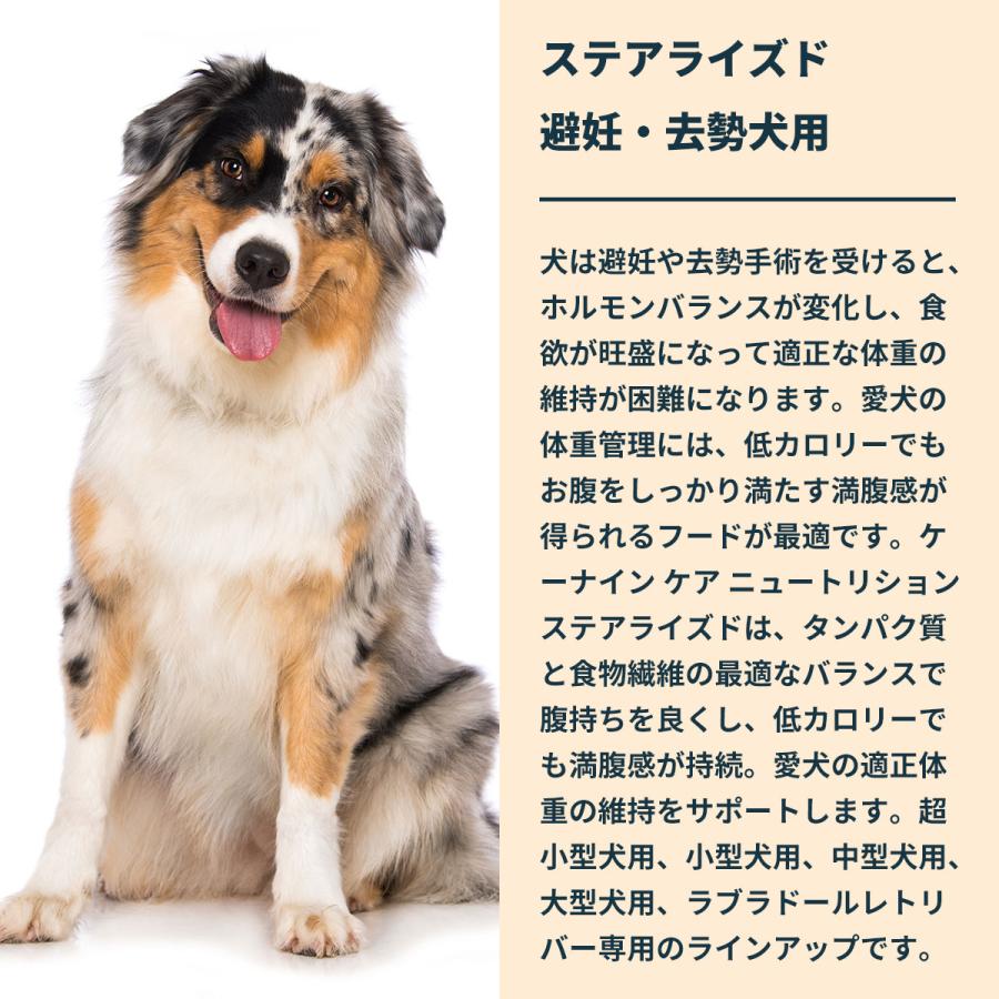 ロイヤルカナン（ROYAL CANIN） 犬 ドッグフード ミディアムステア
