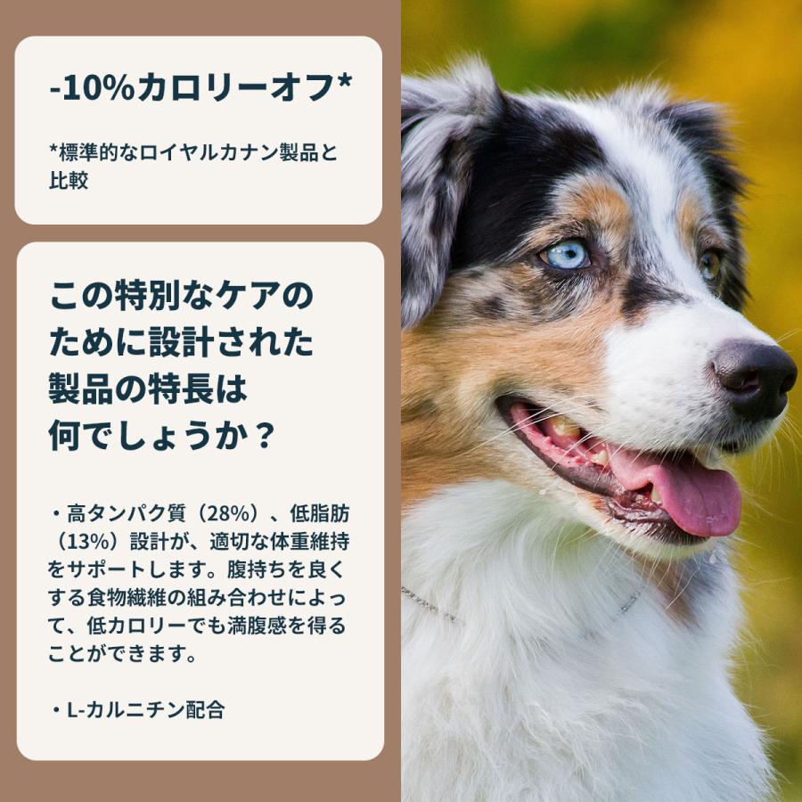 ロイヤルカナン（ROYAL CANIN） 犬 ドッグフード ミディアムステア