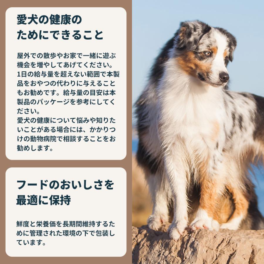 ロイヤルカナン（ROYAL CANIN） 犬 ドッグフード ミディアムステア