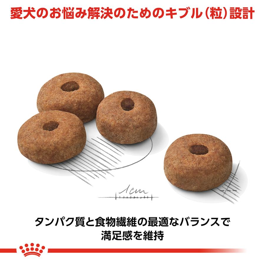 ロイヤルカナン（ROYAL CANIN） 犬 ドッグフード マキシステアライズド