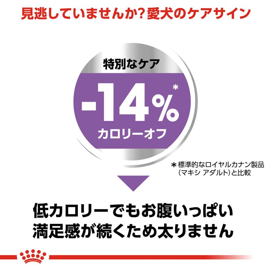 ロイヤルカナン（ROYAL CANIN） 犬 ドッグフード マキシステアライズド