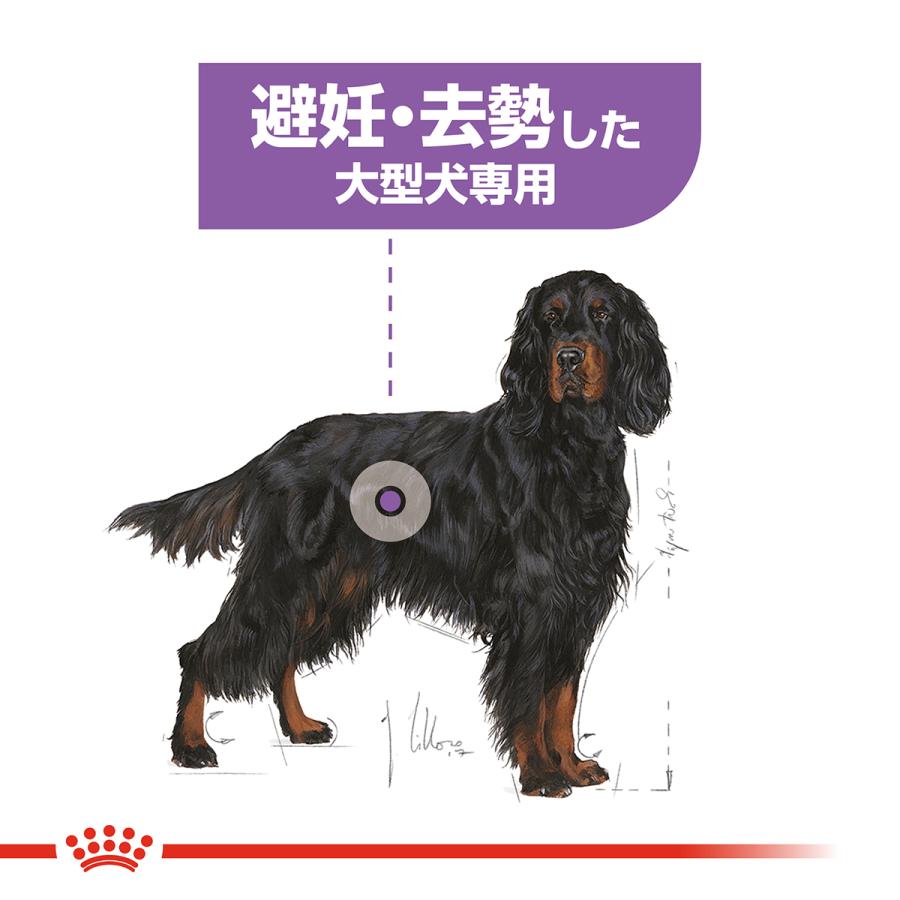 ロイヤルカナン（ROYAL CANIN） 犬 ドッグフード マキシステアライズド