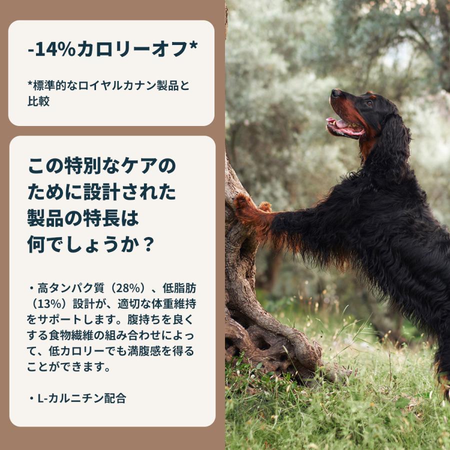 ロイヤルカナン　マキシステアライズド　12キロ ロイヤルカナン（ROYAL CANIN） マキシ ステアライズド 12kg / 大型犬