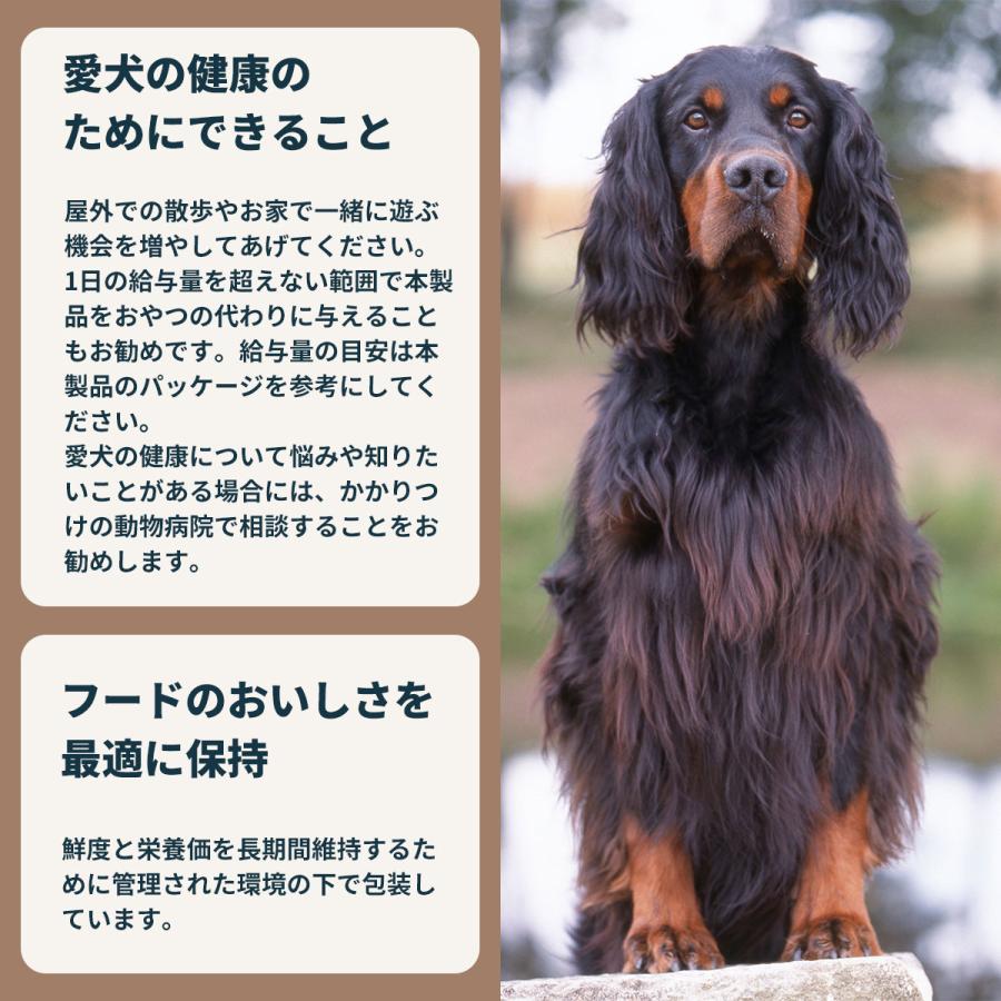 ロイヤルカナン（ROYAL CANIN） 犬 ドッグフード マキシステアライズド
