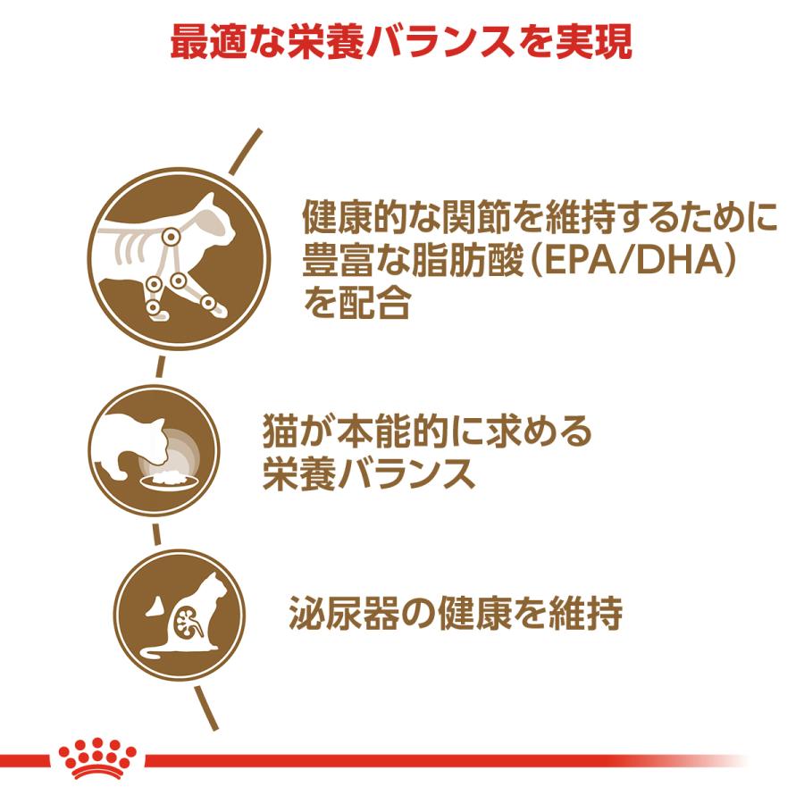 ロイヤルカナン（ROYAL CANIN） 猫 キャットフード ウェットフード