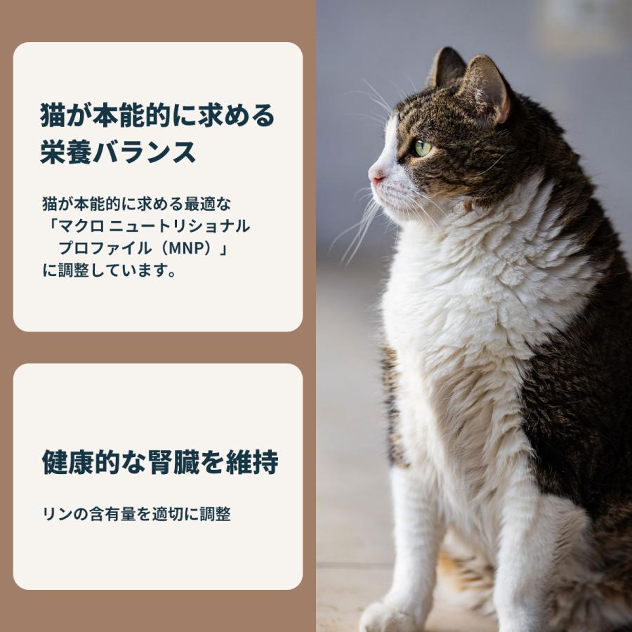 ロイヤルカナン（ROYAL CANIN） 猫 キャットフード ウェットフード