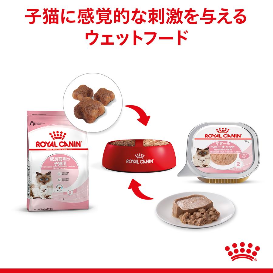 ロイヤルカナン（ROYAL CANIN） 猫 キャットフード ウェットフード